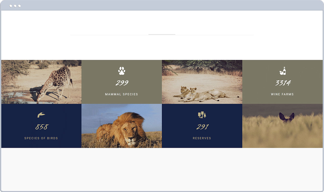 South Africa page